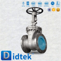 High quality 100% tested 300lb stainless steel cryogenic LNG gate valve